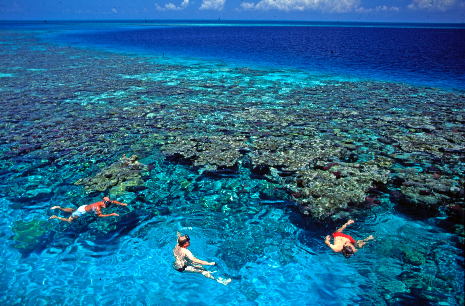 Belize-Barrier-Reef-4-5984e5.jpg