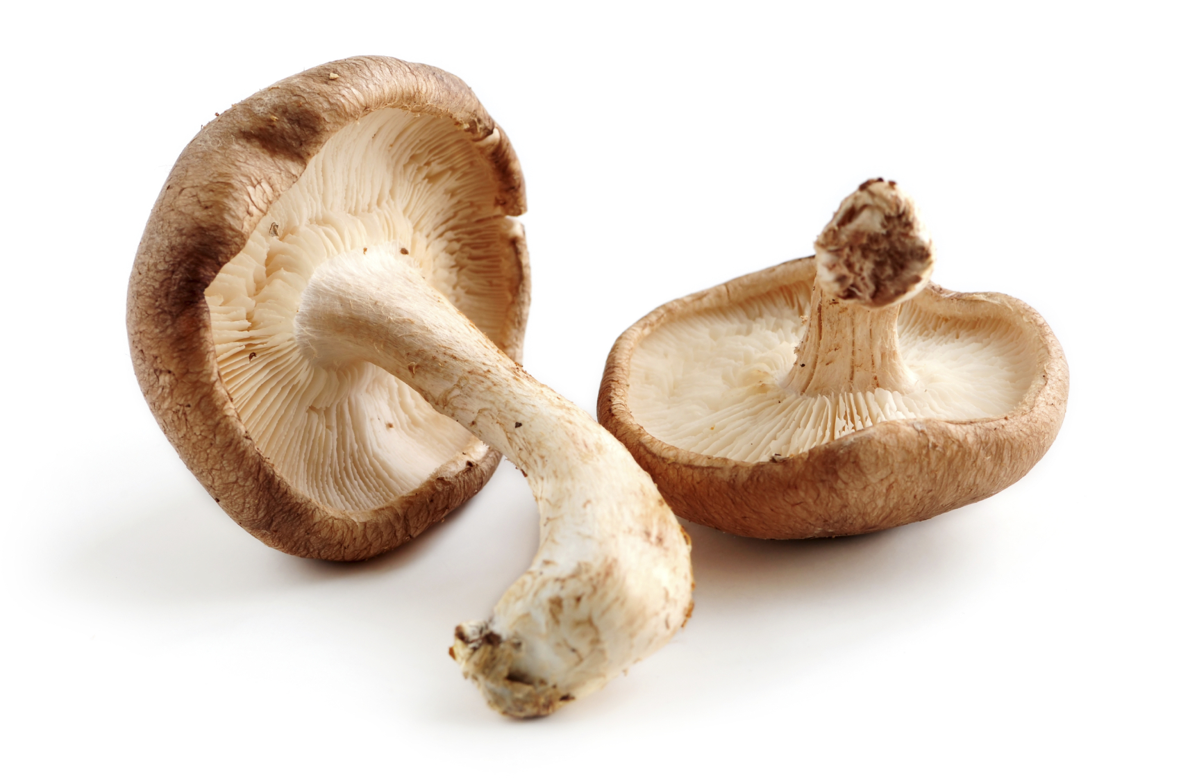 Shiitake-mushrooms-contain-a-powerful-compound-that-may-help-erase-a-cancer-causing-virus.1-ad2997.jpg